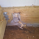 Oh, hello shielded wiring, you’re not supposed to be there quite like that...
